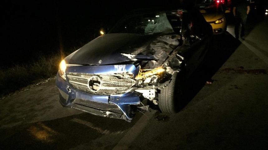 Otomobil Başıboş Ata &Ccedil;arptı