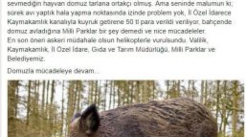 Oy Pusulasındaki ‘domuz’ Serzenişine Belediye Başkanından Cevap