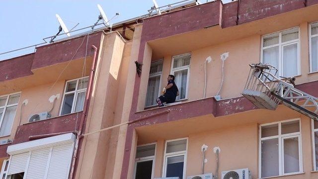 4.kattan Düşmek Üzere Olan Kedi Son Anda Yakalandı