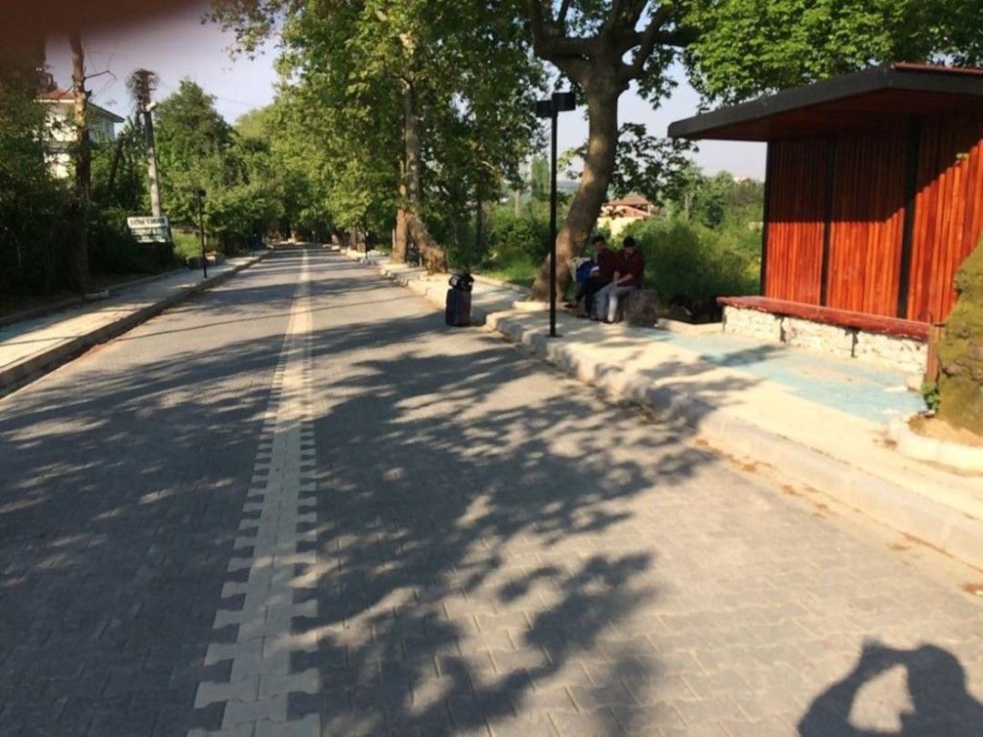 Atat&uuml;rk&rsquo;&uuml;n &rsquo;&ccedil;ınarlı Hıy&acirc;banı&rsquo;na 700 Bin Tl&rsquo;lik D&uuml;zenleme