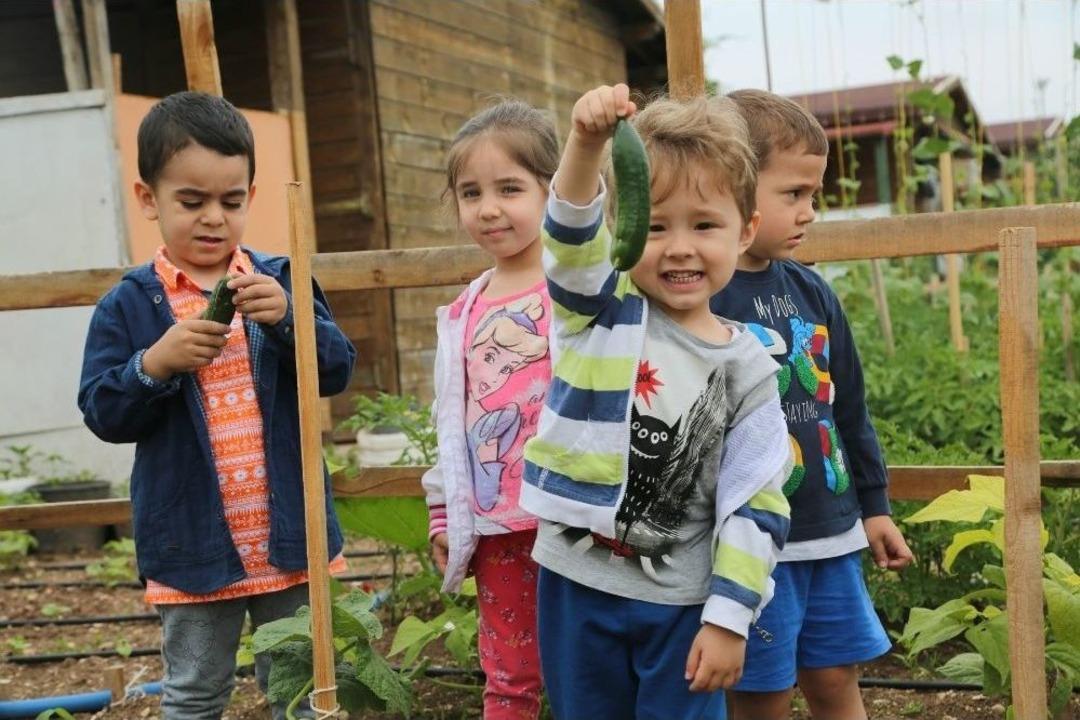 Minikler Bah&ccedil;edeki Mahsulleri Topladı