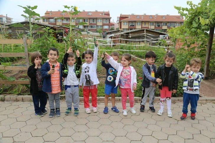 Minikler Bahçedeki Mahsulleri Topladı G2