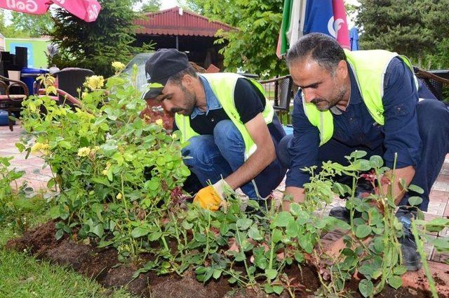 Palandöken Belediyesi İlçeyi Renklendirecek