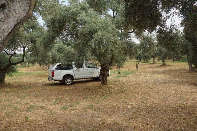 Aydın’da Antik Kentte Kaçak Kazı