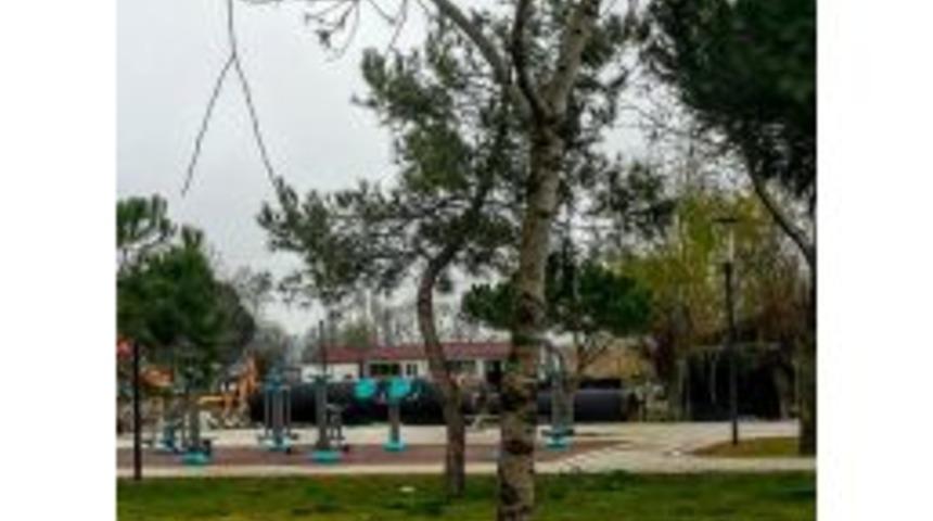 "gitse De İnsem" Dedirten O An