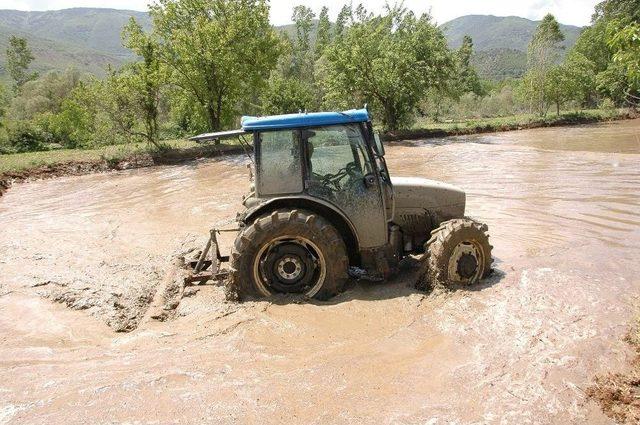 Han&ouml;n&uuml; İl&ccedil;esinde &Ccedil;eltik Ekimi Başladı 1