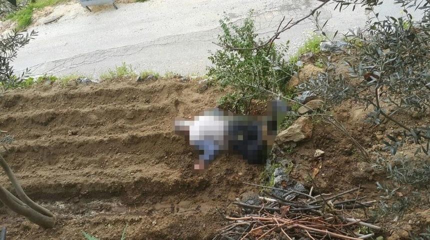 Yaşlı Adam Bah&ccedil;e Sularken Canından Oldu