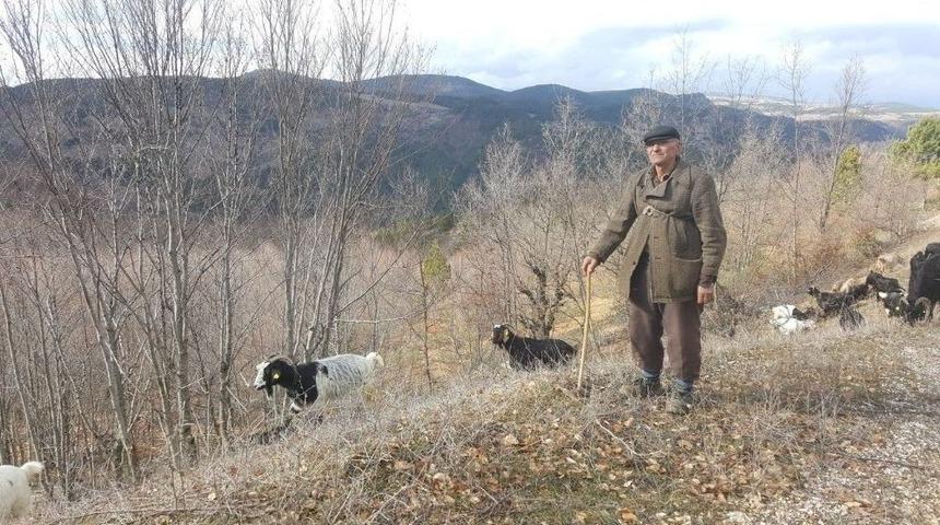 Akdağ&rsquo;da Kış Ortasında Bahar