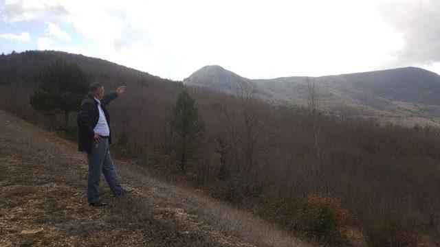 Akdağ’da Kış Ortasında Bahar