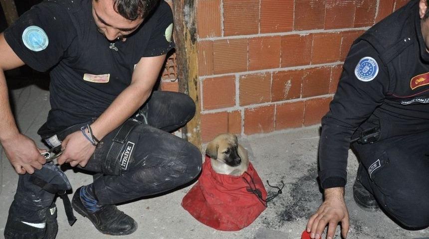 Havalandırma Boşluğuna D&uuml;şen Yavru K&ouml;peği İtfaiye Kurtardı