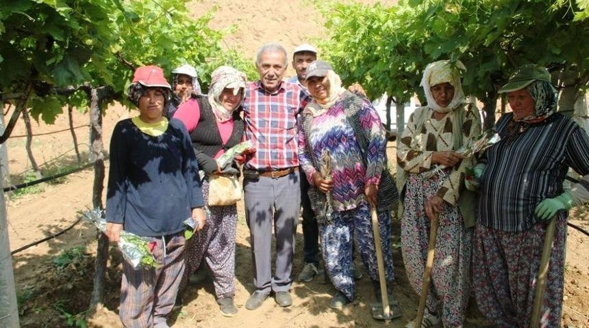 1 Mayıs&rsquo;ta &Uuml;z&uuml;m Bağında &Ccedil;alışmaya Devam Ettiler