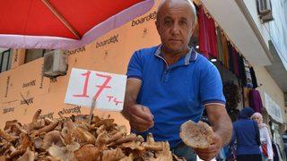 Ordu’da ‘tirmit’ Bolluğu