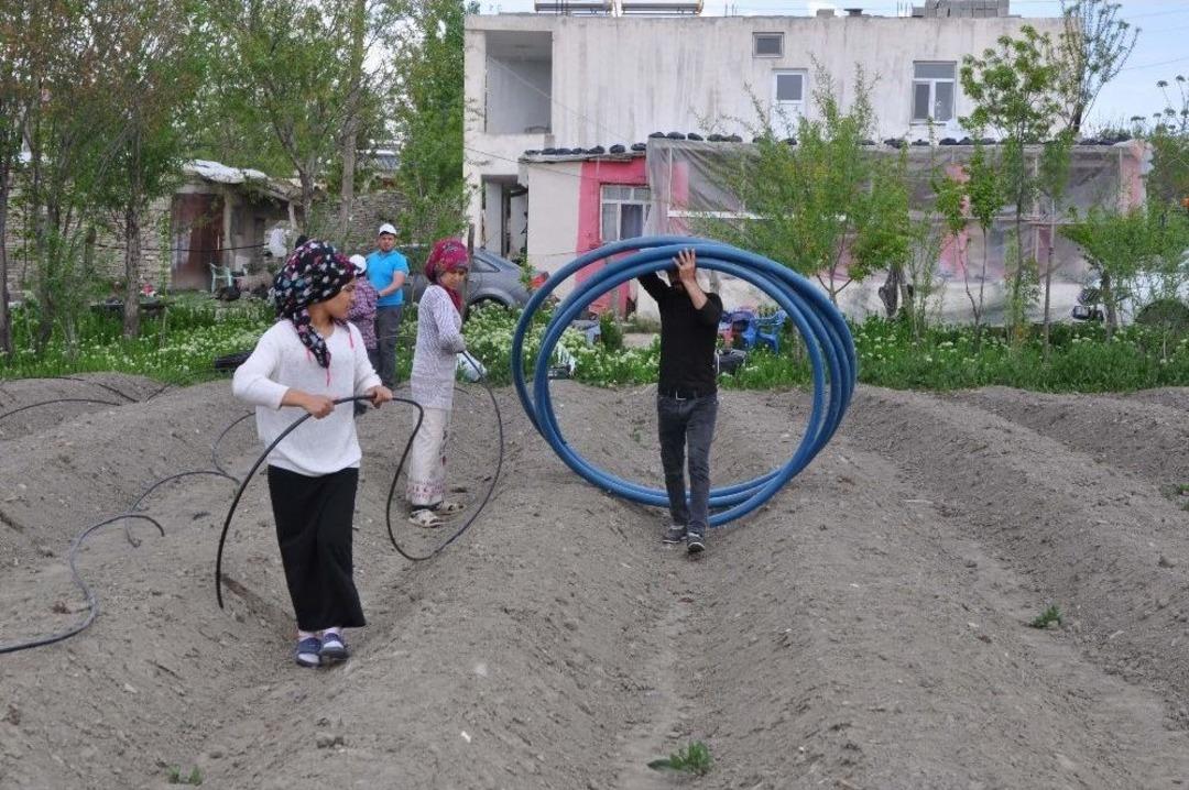 Organik &Ccedil;ileğe Kadın Eli Değdi