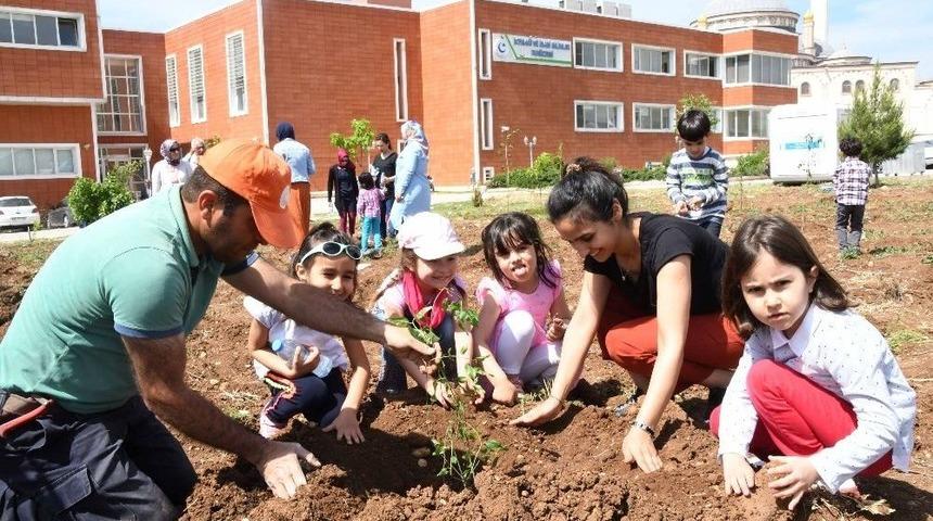 &Uuml;niversitede 180 Meyve Fidanı Daha Toprakla Buluştu