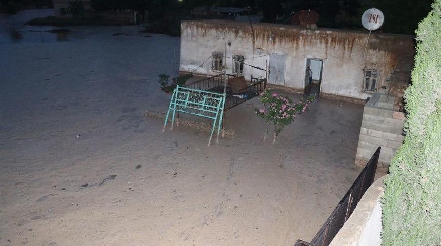 Şanlıurfa&rsquo;da Evleri Su Bastı, Hayvanlar Telef Oldu