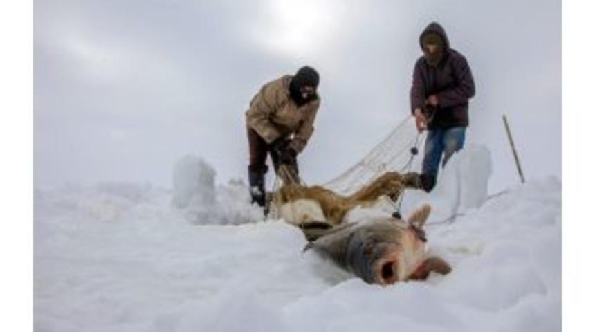 Buz Kırıp Balık Tuttular