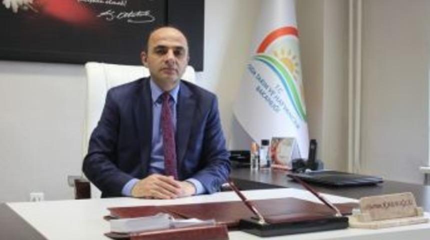 Son G&uuml;n 30 Haziran