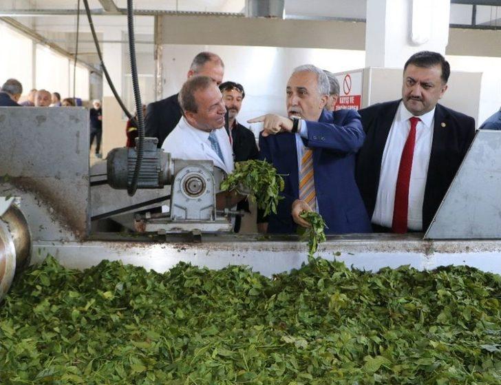 Bakan Fakıbaba: "türk Halkı Ekmek Yemeyebilir Ama Mutlaka Ve Mutlaka Çay İçecektir" G3