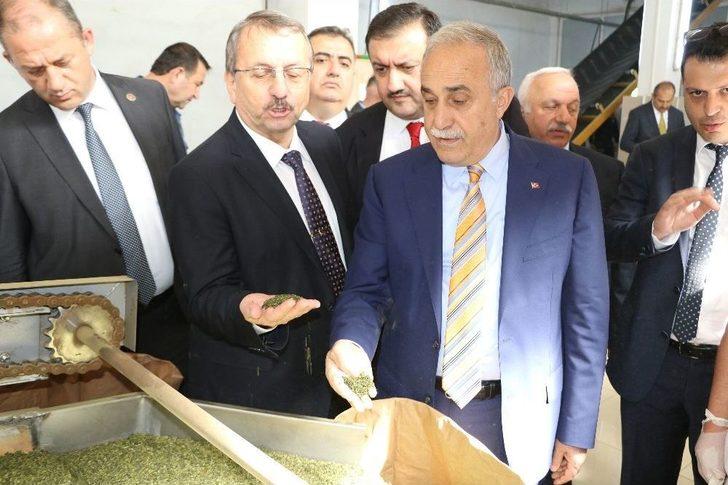 Bakan Fakıbaba: "türk Halkı Ekmek Yemeyebilir Ama Mutlaka Ve Mutlaka Çay İçecektir" G4