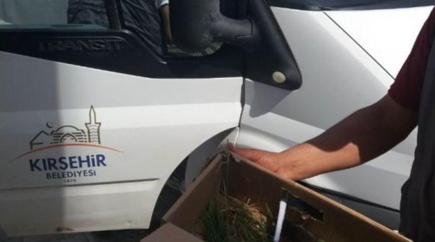 Tavan Arasına Sıkışan Kuş, 110 Ekipleri Tarafından Kurtarıldı