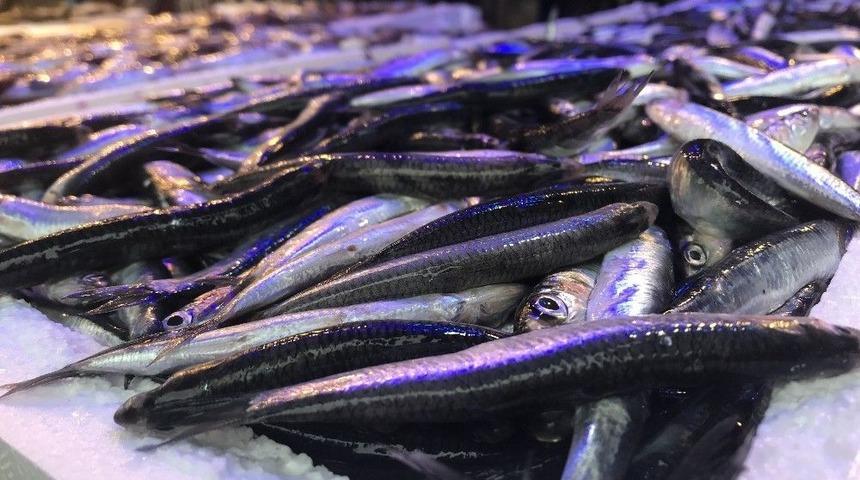 Hamsinin İhracatı Var, Kendisi Yok