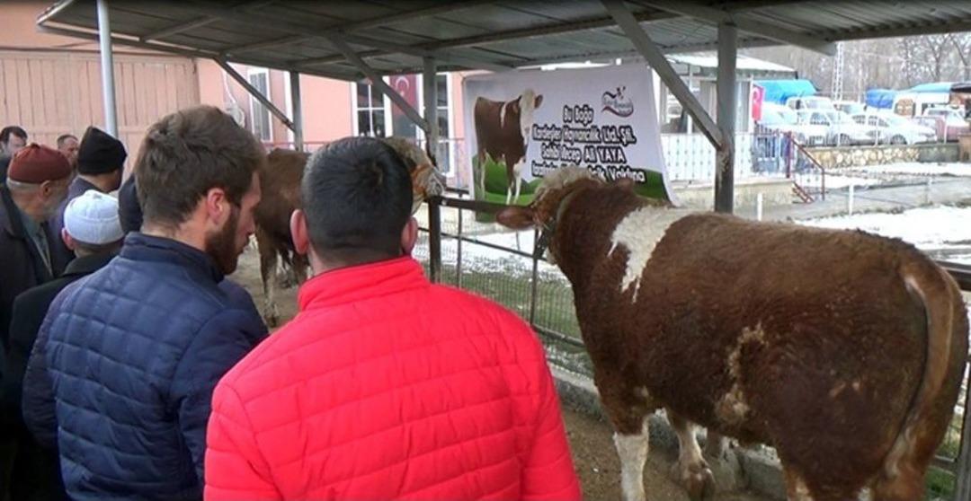 Mehmet&ccedil;ik İ&ccedil;in Bağışlanan &lsquo;paşa&rsquo; Ve &lsquo;efe&rsquo; A&ccedil;ık Artırmayla Satıldı