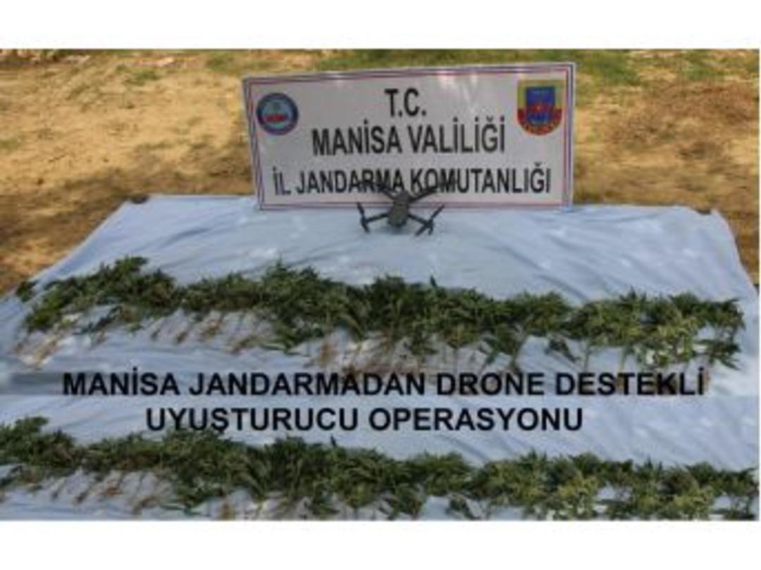 Manisa’da Kenevir Operasyonu