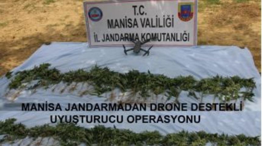 Manisa’da Kenevir Operasyonu