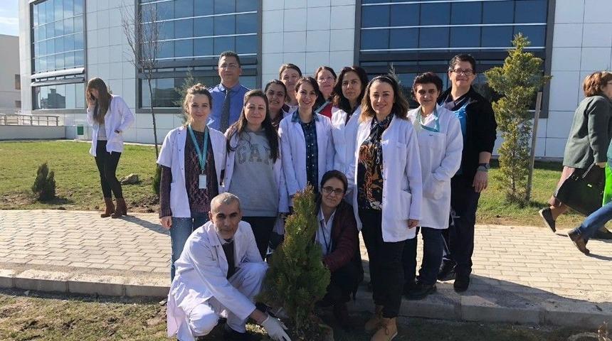 Kırklareli Devlet Hastanesinde Peyzaj &Ccedil;alışması