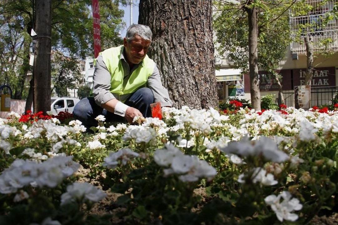 Buca Yeşile B&uuml;r&uuml;nd&uuml;