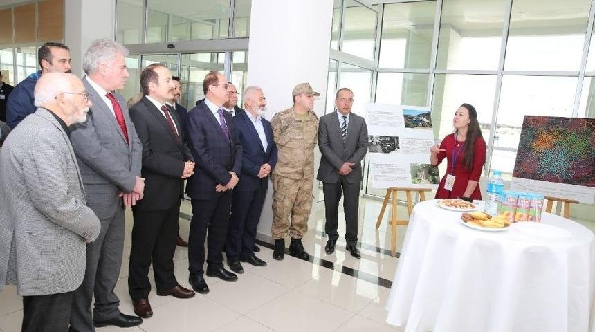 Matematiğin D&uuml;nyası &lsquo;hayalg&uuml;c&uuml;&rsquo; İle Buluştu