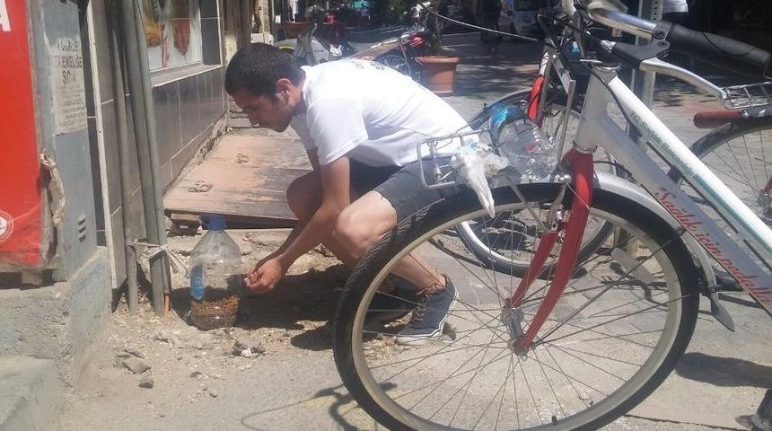 Sokak Hayvanları İ&ccedil;in Pedalladılar