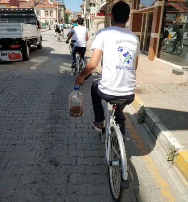 Sokak Hayvanları İçin Pedalladılar