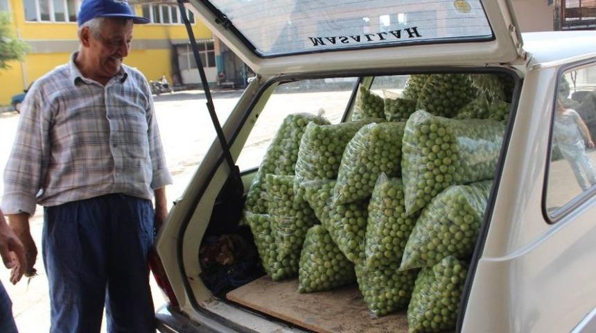 Erik Diyarı Umurlu&rsquo;da Yetiştiricinin Tadı Ka&ccedil;tı
