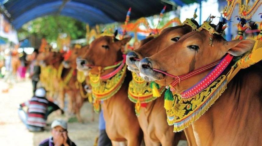 Yurtdışına &Ccedil;ıkmadan &Ouml;nce Bu Kuralları &Ouml;ğrenin
