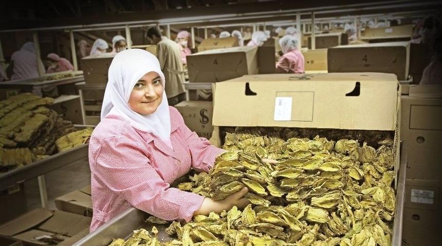 Ege İhracatında Bahar Bereketi