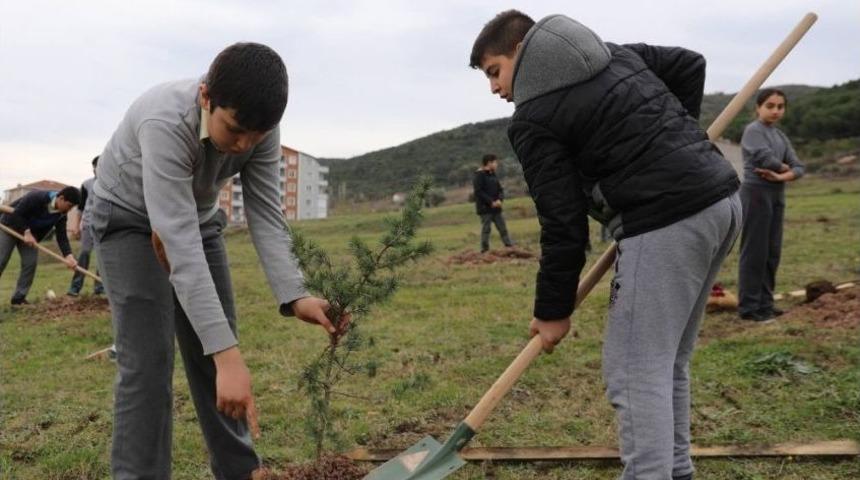 K&ouml;rfez&rsquo;de 30 Bin Fidan Toprakla Buluşturuldu