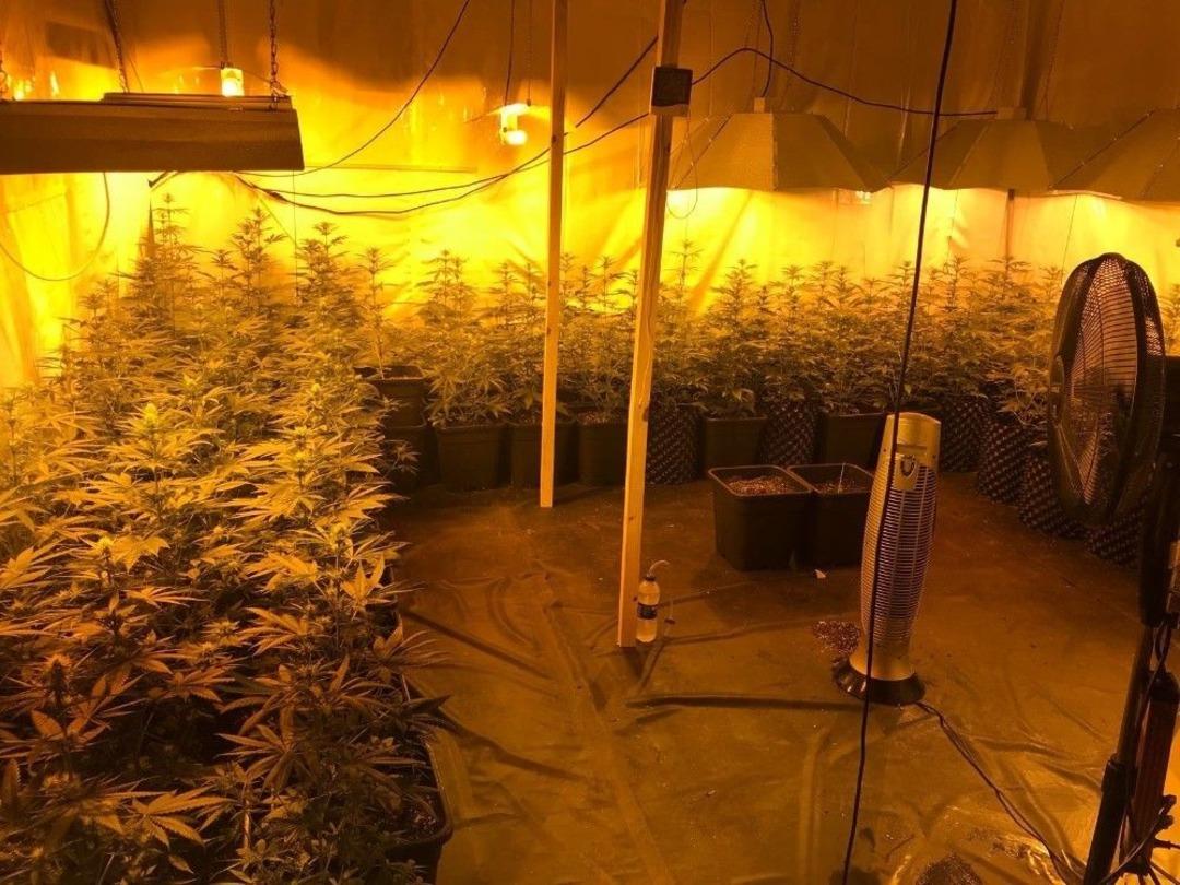 L&uuml;ks Villaya Giren Jandarma G&ouml;zlerine İnanamadı