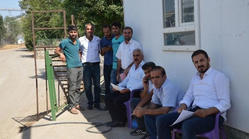 Toprak Mahsulleri Ofisi, Buğday Alımlarına Başladı