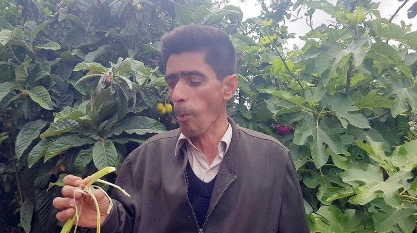 ’ekşi Işkın’ Yedi, Fenomen Oldu