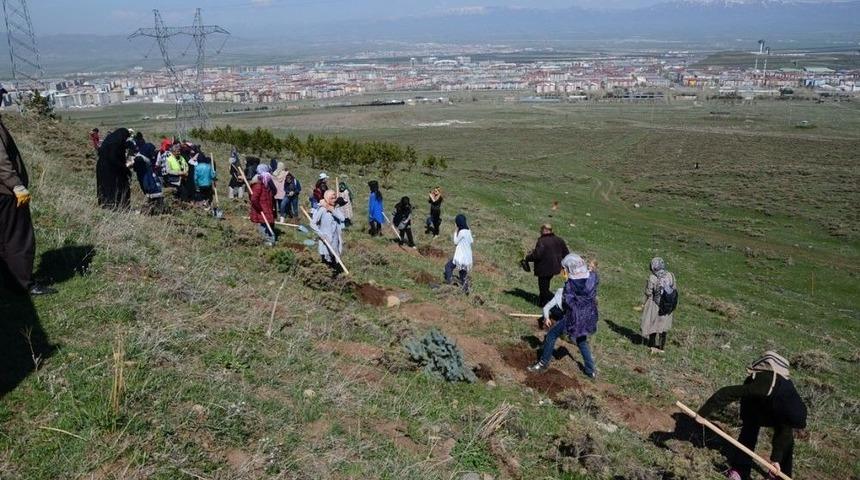 Paland&ouml;ken Belediyesi Fidan Dikim Seferberliği Başlattı