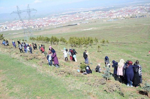 Palandöken Belediyesi Fidan Dikim Seferberliği Başlattı