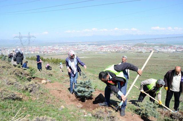 Palandöken Belediyesi Fidan Dikim Seferberliği Başlattı