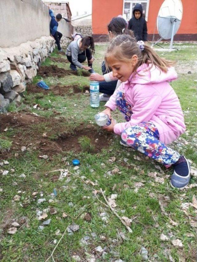 Çaldıran Belediyesinden Okullara Fidan Desteği