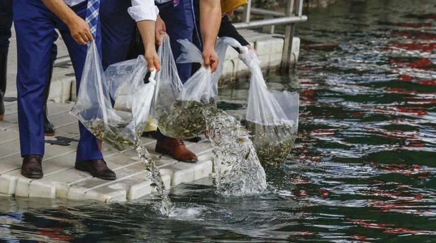 Başkent G&ouml;lleri &rsquo;balık&rsquo; &Uuml;retecek
