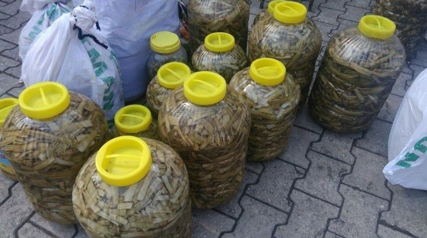 Sason&rsquo;da Toplanıp, Batı İllerinde Satılıyor