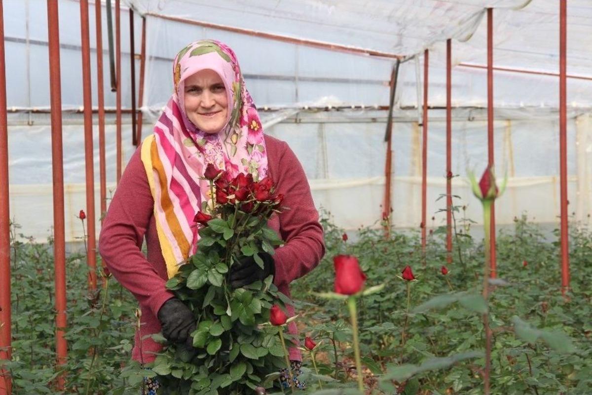 Sevgililer G&uuml;n&uuml; İ&ccedil;in 45 Milyonluk &Ccedil;i&ccedil;ek İhracatı