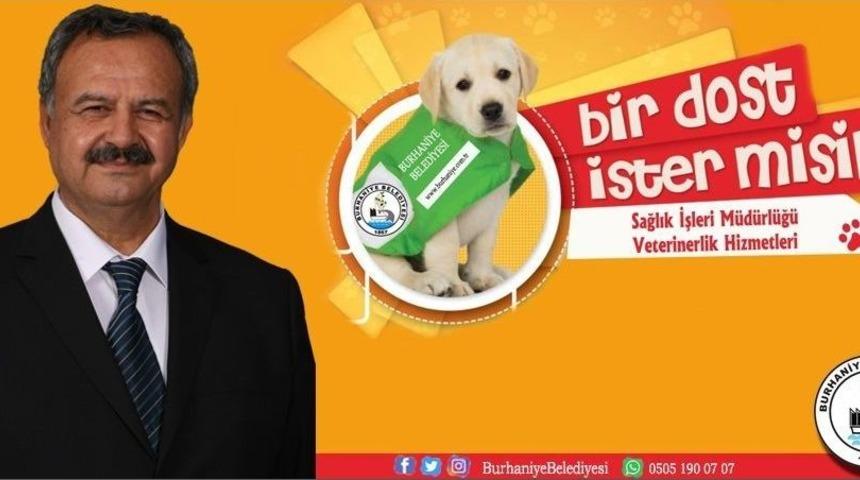Başkan Uysal, "14 Şubat&rsquo;ta Sevdikleriniz İ&ccedil;in Bakım Evinden Can Dostu Sahiplenin&rdquo;