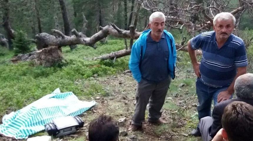 Ormanda Odun Yaparken &Ouml;ld&uuml;