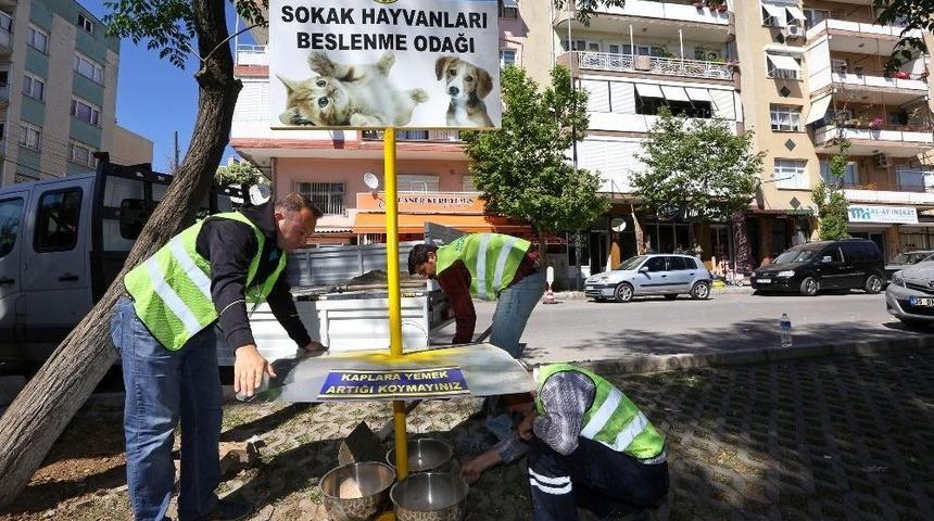 Buca&rsquo;da Can Dostlara Sıcak &Ouml;nlemi